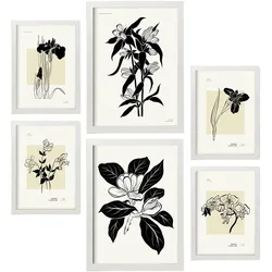 POSTER Set Mit 6 In Schwarzer Tinte Orchideen A3 & A4 Weißer Rahmen