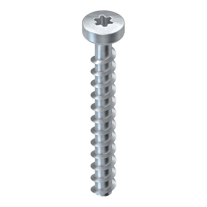 Niedax Schraubanker NSA 6X50/FKK-T30 V)