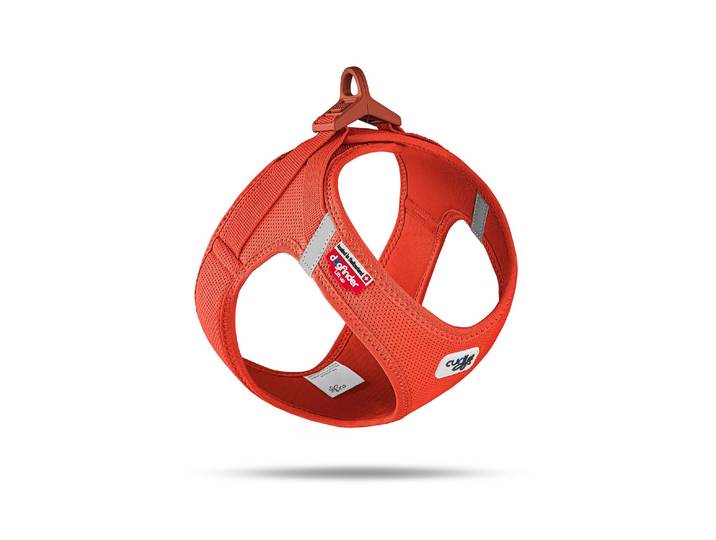 Hunde-Geschirr CURLI Vest Air-Mesh S , orange, S, Polyester, Tiergeschirre, Hunde-Geschirr, Hunderasse: Maltese