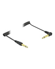 Delock Spiralkabel 6.35 mm 2 Pin Klinkenstecker zu Mono gewinkelt 2 m Schwarz (85939)