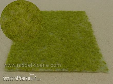 Model Scene F513