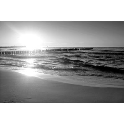 Fototapete PAPERMOON "Strand schwarz & weiß", schwarz (schwarz, weiß), B:2m L:1,49m, Vlies, Tapeten