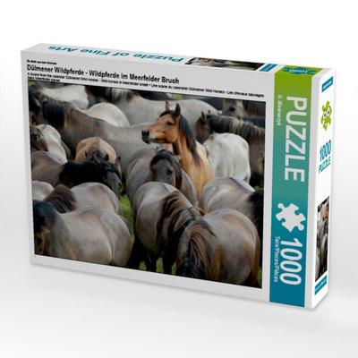 CALVENDO Puzzle Alles im Blick - Dülmener Wildpferde | 1000 Teile Lege-Größe 64x48cm Foto-Puzzle für glückliche Stunden