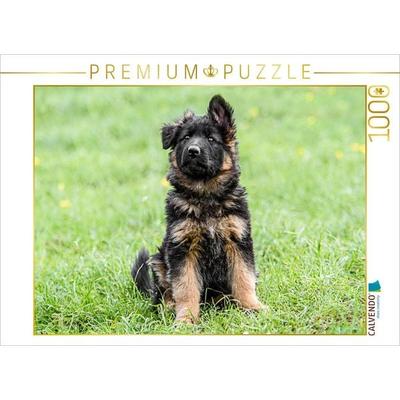 CALVENDO Puzzle Schäferhund - Welpe Hündin | 1000 Teile Lege-Größe 64x48cm Foto-Puzzle für glückliche Stunden