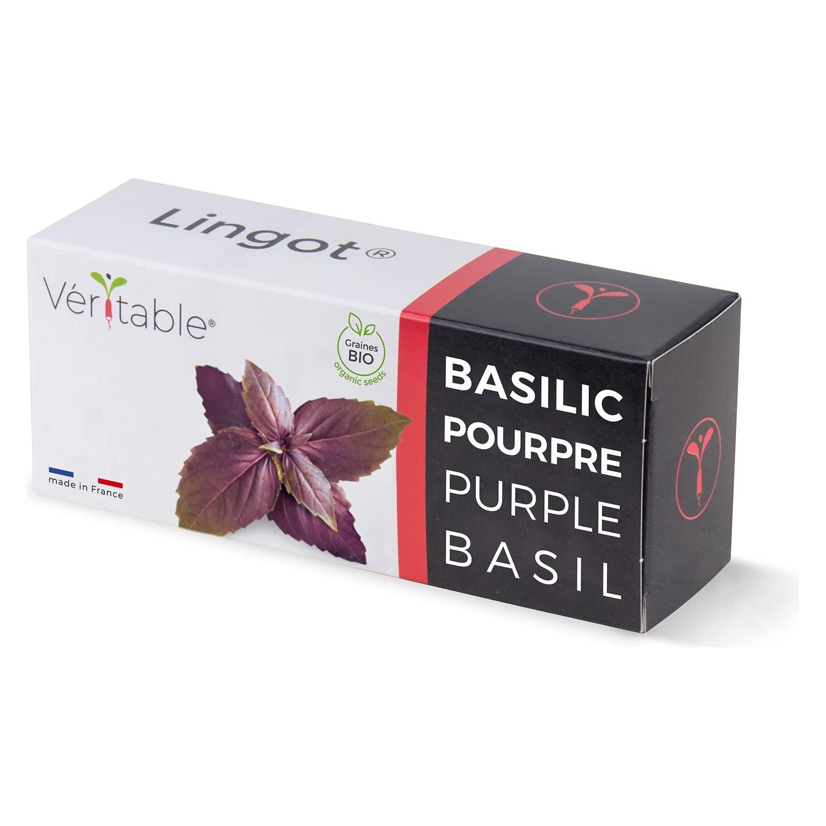 Véritable Lingot Purpur Basilikum BIO (Kräutersamen) (3760262511146)