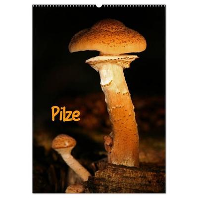 Pilze (Wandkalender 2027 DIN A2 hoch), CALVENDO Monatskalender