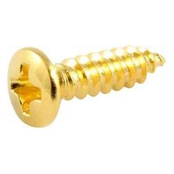 AllParts AP GS 0001-002 PG-Schrauben (20) gold (Instrumenten Ersatzteile) (47163747)