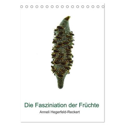 Die Faszination der Früchte (Tischkalender 2026 DIN A5 hoch), CALVENDO Monatskalender