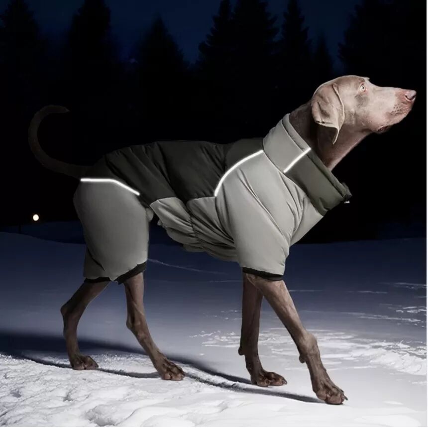 INF Wasserdichter, winddichter Hunde-Wintermantel - Verdickte, reflektierende, warme Baumwolljacke XXXL