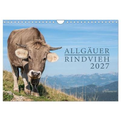 Allgäuer Rindvieh 2027 (Wandkalender 2027 DIN A4 quer), CALVENDO Monatskalender