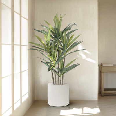 "Dracaena Artificial Plant - Realistic Silk Leaves, Maintenance-Free Greenery   70 Â¾""   MOD LIGHTING"