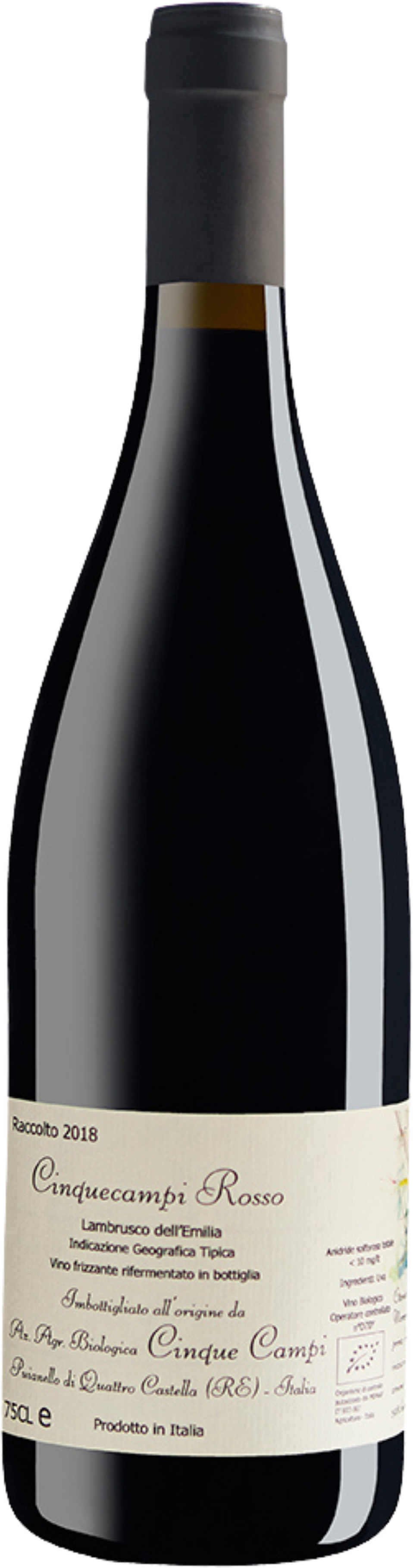 Lambrusco dell'Emilia Cinque Campi 2024