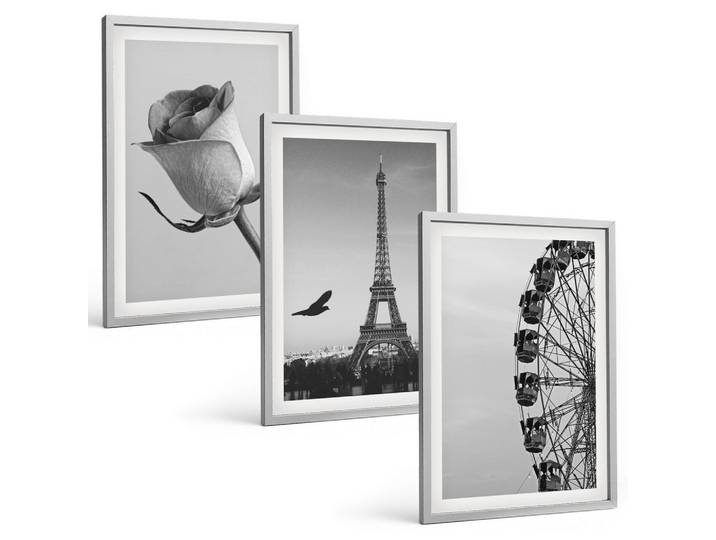 BILDER SET 3er Set - 40x60 cm Silberner Rahmen - Rose Eiffelturm Riesenrad