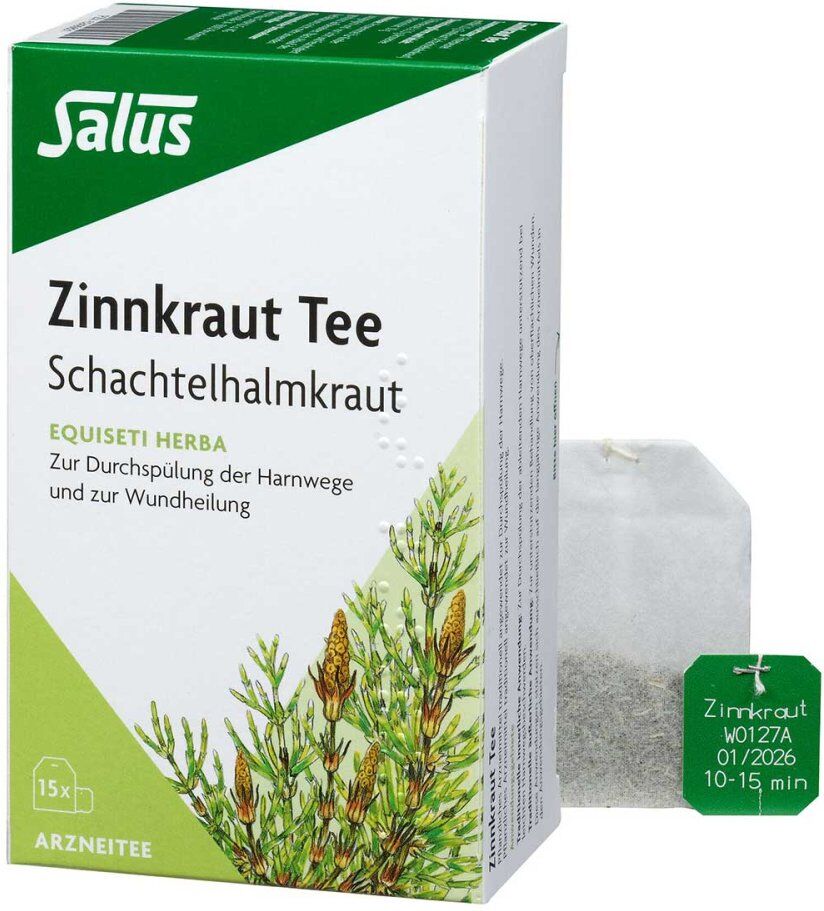 Zinnkraut Tee Schachtelhalmkraut Salus Filterbeut.