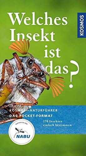 Bellmann, Dr. Heiko - Welches Insekt ist das?: 170 Insekten einfach bestimmen (Kosmos-Naturführer Basics) - Preis vom 10.10.2026 11:48:34 h