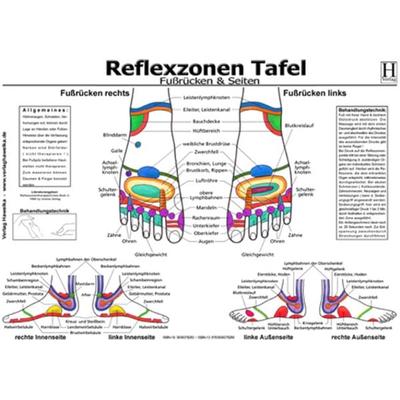 Fussreflexzonen Tafel - Fussrücken & Seiten - A3 (laminiert), Sonstige von , Hawelka, Uwe, 978-3-939378-28-0