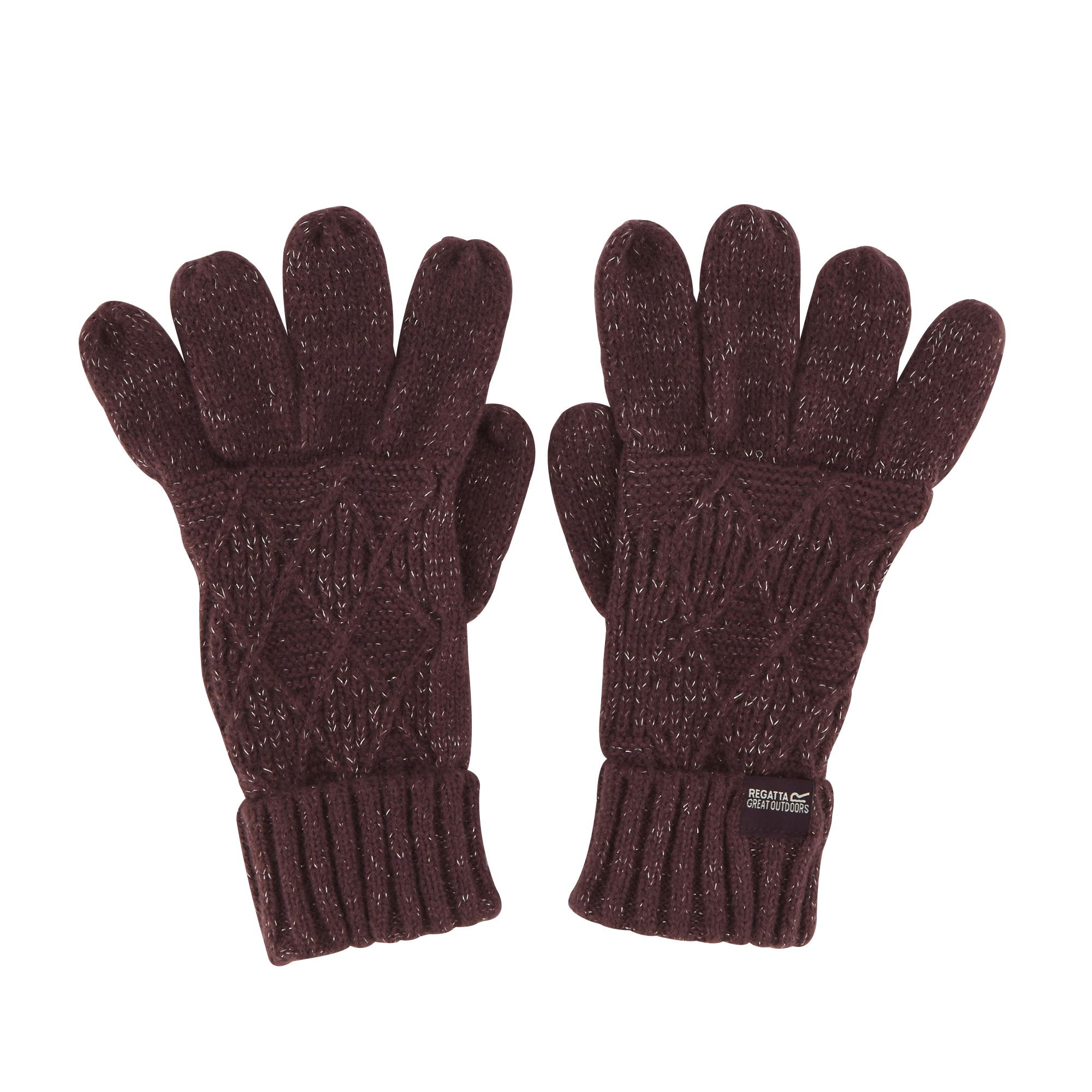 Regatta Dames/dames Winterhandschoenen (Paars)