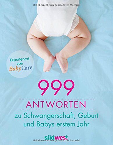 BabyCare - 999 Antworten zu Schwangerschaft, Geburt und Babys erstem Jahr: Expertenrat von BabyCare - Preis vom 09.10.2026 07:28:09 h