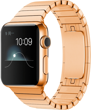 Inspired Deals Stainless Steel Watch Band Replacement Strap rose Gold
