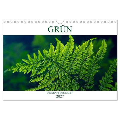 GRÜN. Die Kraft der Natur (Wandkalender 2027 DIN A4 quer), CALVENDO Monatskalender