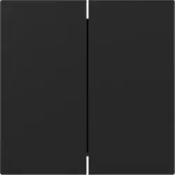 Gira 3495005 Wippe 2-fach gerade System 55 Schwarz matt (lackiert)