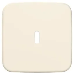 Busch-Jaeger Zentralscheibe 6479-212 2CKA006400A0438