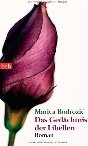 Marica Bodrožić - Das Gedächtnis der Libellen: Roman - Preis vom 10.10.2026 11:48:34 h