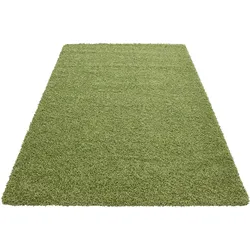 Hochflorteppich Life Green Grün ca. 300x400cm