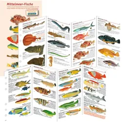 Fischkartenset Mittelmeer