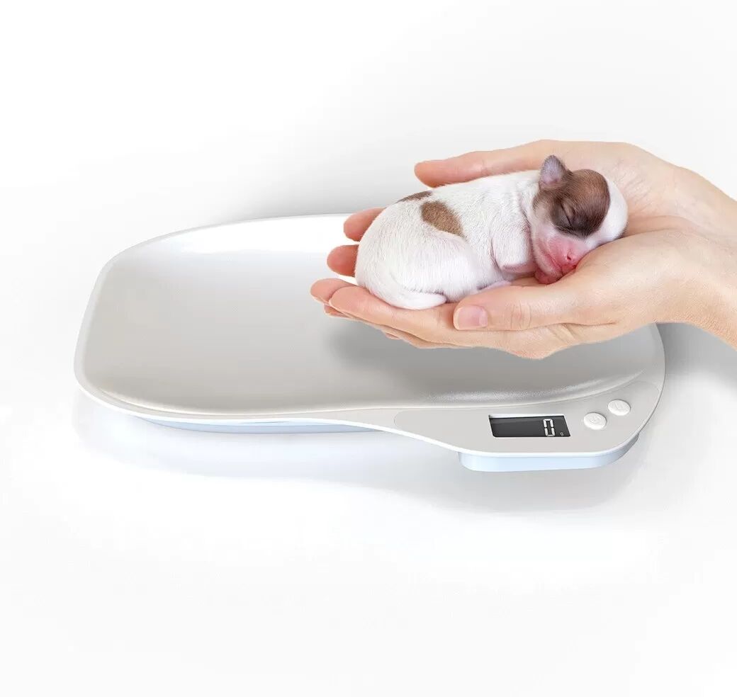 INF Digitale Haustierwaage 15000g - Präzise Messung für kleine Tiere, Postpakete und Küche