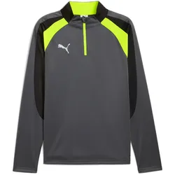 PUMA IndividualLIGA 1/4-Zip Trainings-Top Herren 08 - galactic gray/yellow alert M