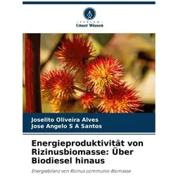 Energieproduktivität von Rizinusbiomasse: Über Biodiesel hinaus, Ratgeber von Joselito Oliveira Alves, José Angelo S A Santos