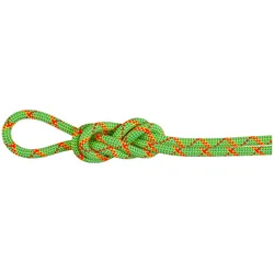 Mammut, Kletterseil, (70 m)
