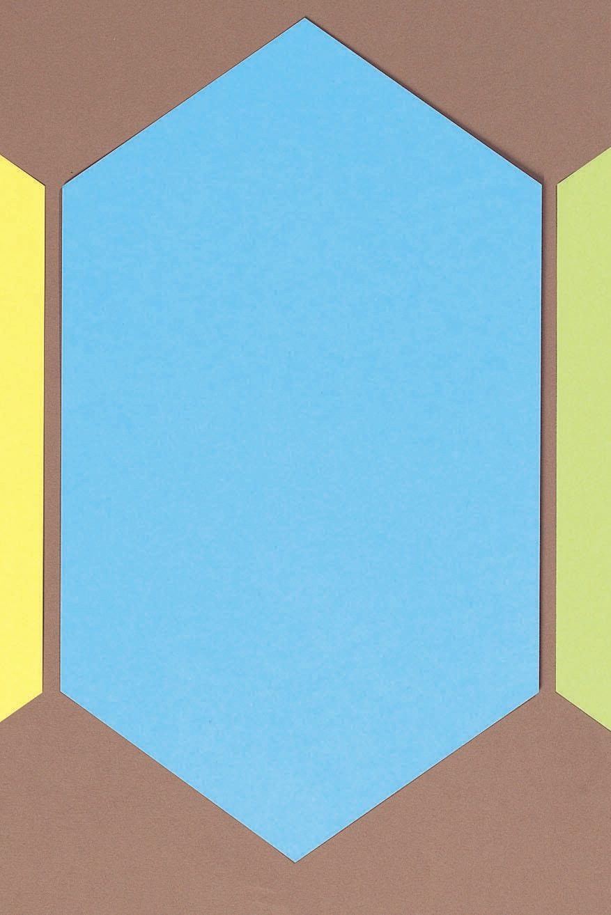 neutral Moderationskarten 29,0 x 16,5 cm rot, weiß, grün, blau, gelb 100110259537696