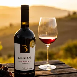Bertoldi 2023 Bertoldi Merlot Barrique delle Venezie 2023 Merlot Italien