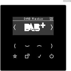 Jung Smart DAB+ Digitalradio UKW, DAB+ DAB LS SW