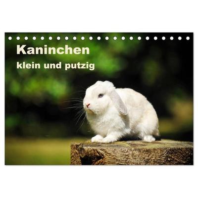 Kaninchen klein und putzig (Tischkalender 2027 DIN A5 quer), CALVENDO Monatskalender