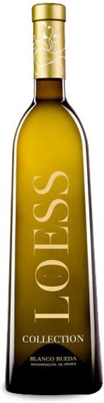 Loess Collection Blanco Rueda 2024