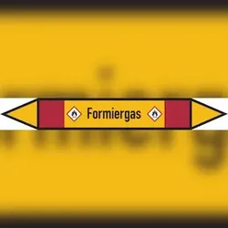 Rohrleitungskennzeichen Formiergas - 100x15 mm Folie selbstklebend