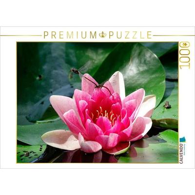 CALVENDO Puzzle Libellen an einer Seerose | 1000 Teile Lege-Größe 64x48cm Foto-Puzzle für glückliche Stunden