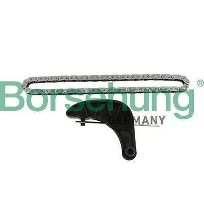 BORSEHUNG Kettensatz, Ölpumpenantrieb B18850 für VW