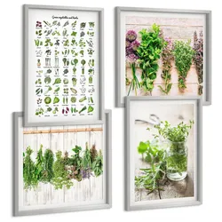 BILDER SET 4er Set - 50x50 cm & 40x60 cm Silberner Rahmen - Getrocknete Kräuter für die Küche