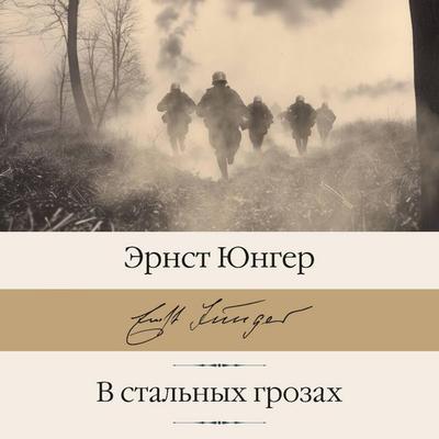 V stalnyh grozah - Ernst Junger, Audio, 9785171733933