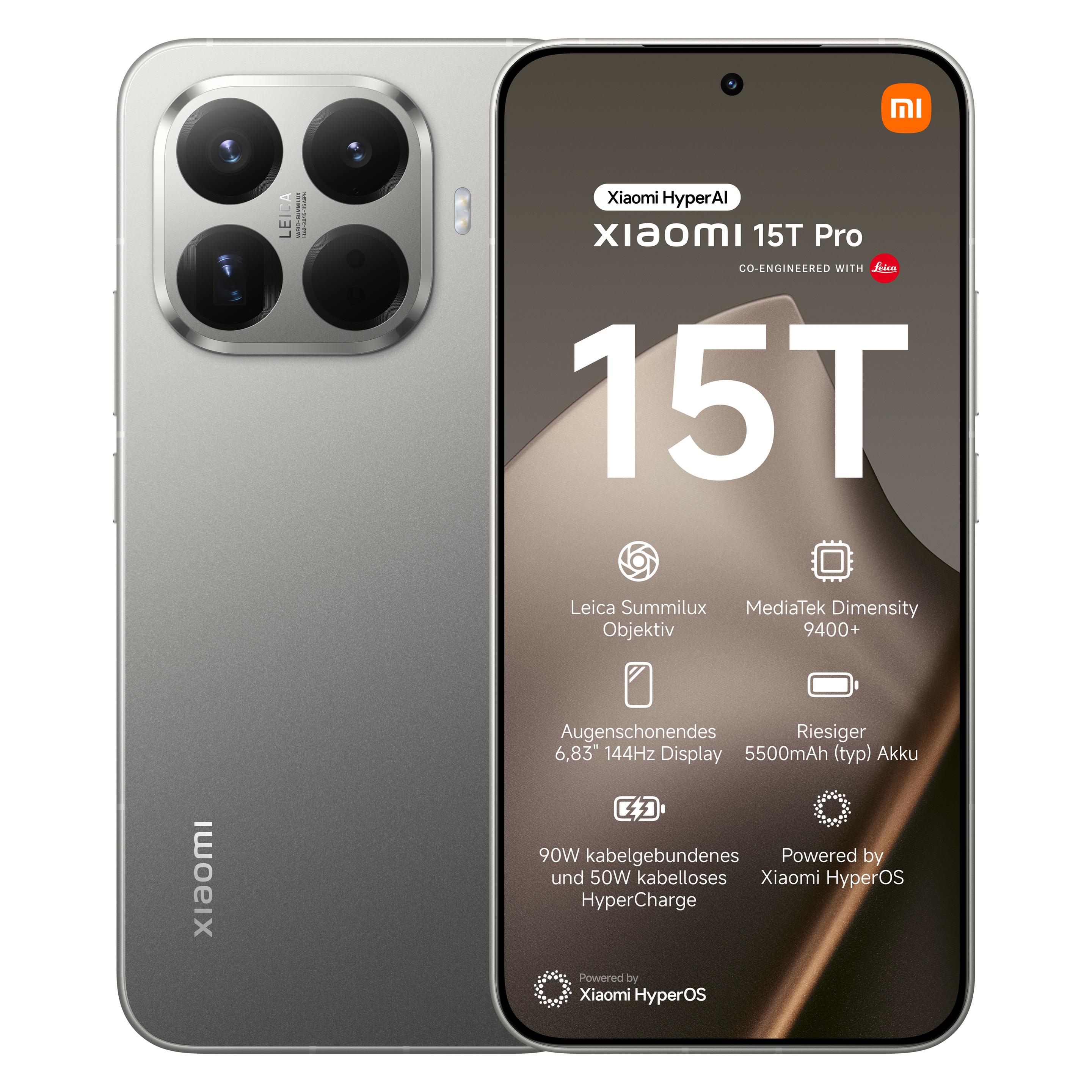 Xiaomi 15T Pro (1000 GB, Grau, 6.83", Dual SIM, 5G) (MZB0KV0EU)