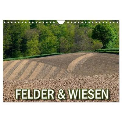 Felder und Wiesen (Wandkalender 2027 DIN A4 quer), CALVENDO Monatskalender