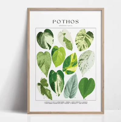 Inspire Picks Green Botanical Leaves Canvas Wall Art Calming Nature Houseplant Decor 7 40x60cm