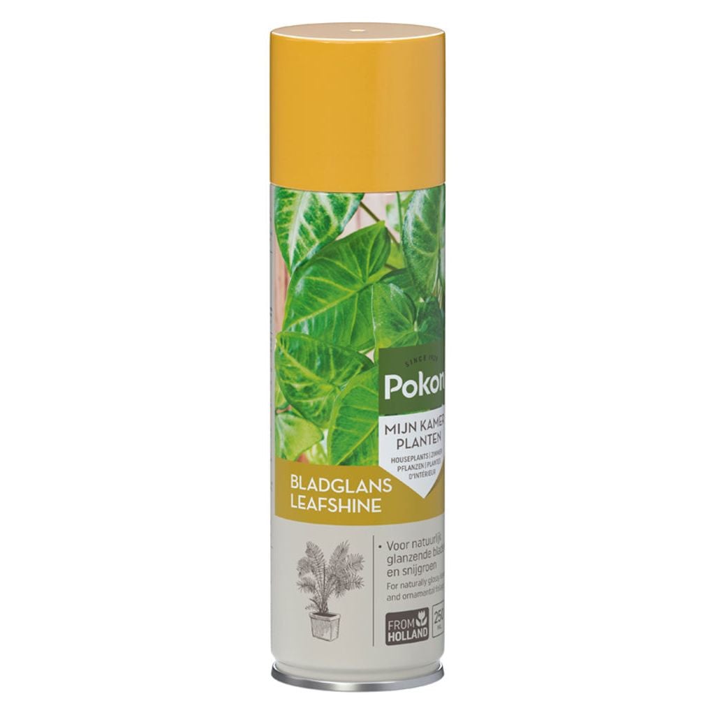 Pokon Bladglans voor kamerplanten 250 ml