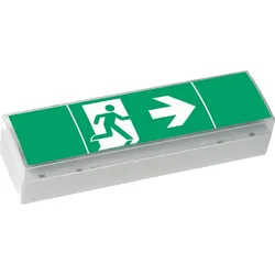 Ceag Notlichtsysteme LED-Einzelbatterie-Leuchte SV EURO4L LED 3h SET