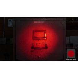 Coast FL13 Stirnlampe 250 lm 13 h 21659