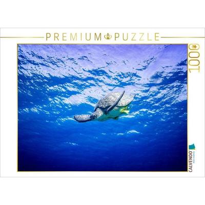 CALVENDO Puzzle Suppenschildkröte in Ägypten | 1000 Teile Lege-Größe 64x48cm Foto-Puzzle für glückliche Stunden